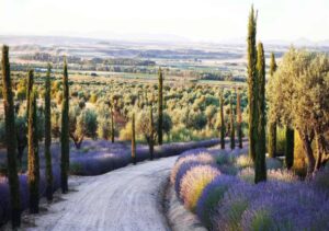 Una finca con un alto valor ecológico.
