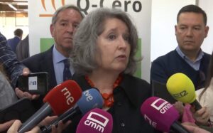 La consejera de Desarrollo Sostenible, Mercedes Gómez, en declaraciones a los medios en Toledo.