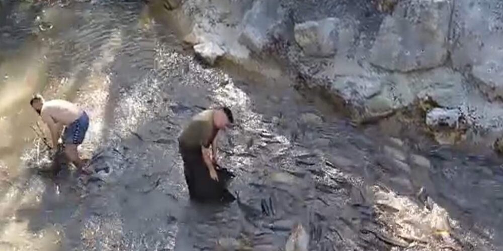 Vecinos y pescadores de la zona ayudan para intentar salvar a los peces.