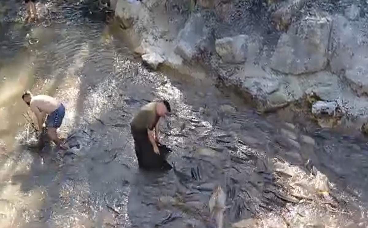 Vecinos y pescadores de la zona ayudan para intentar salvar a los peces.