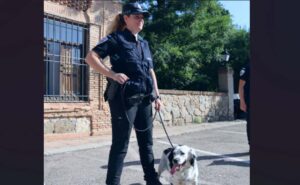 Narco y Tamara, compañeros de trabajo en la Unidad Canina de la Policía Local de Toledo.