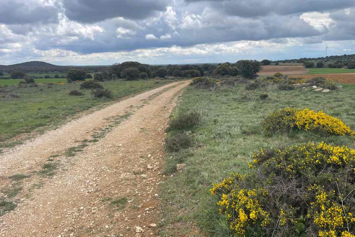 Paraje de Tartanedo en Guadalajara