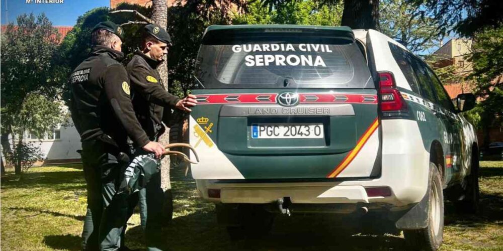 El Seprona, de la Guardia Civil. Foto: Guardia Civil de Cuenca