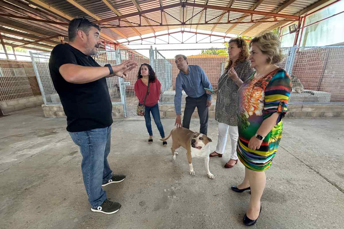 Mejoras Hogar Amigo Guadalajara