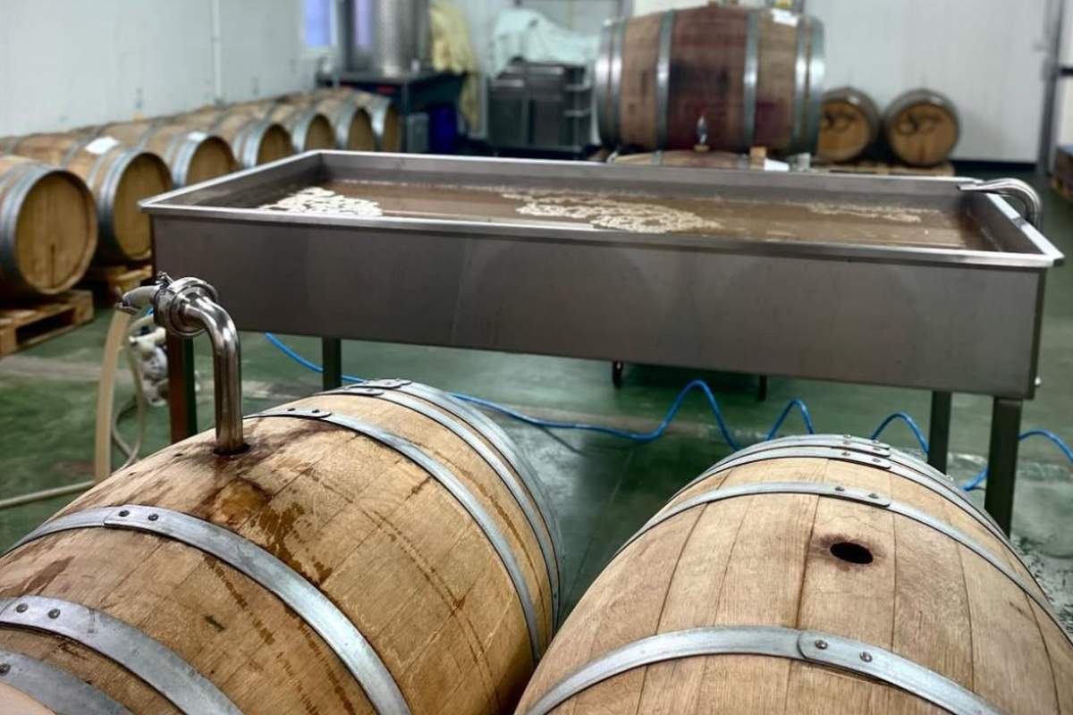 Barricas de vino donde se elabora la cerveza