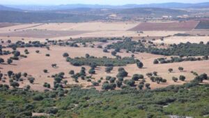 Campo de Montiel