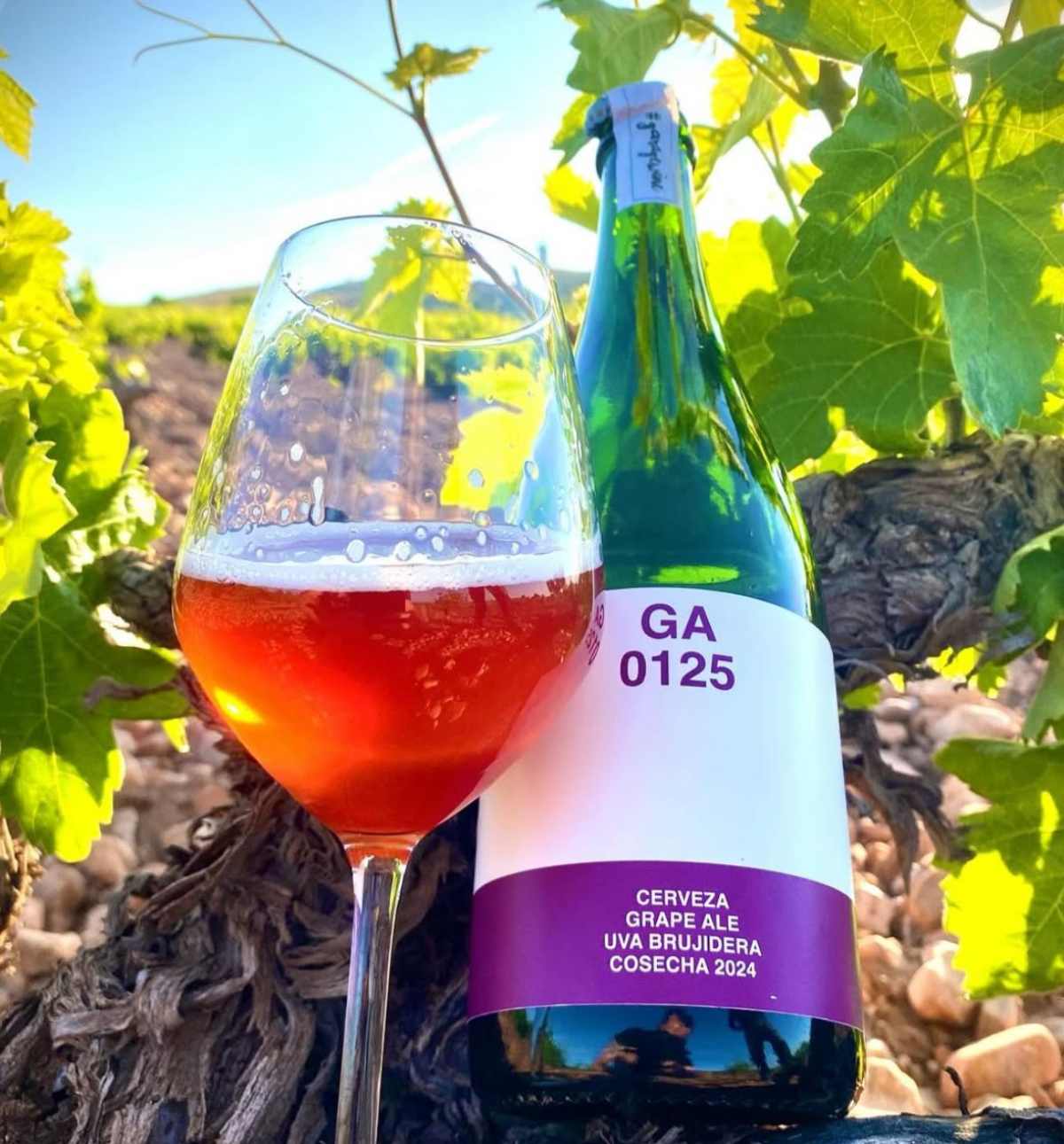Cerveza grape ale con uva brujidera