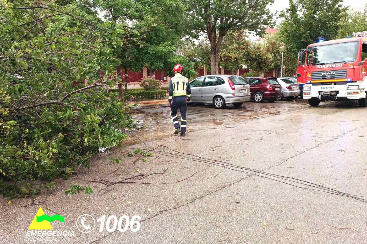 Los bomberos actuando tras la caída de un árbol en Valdepeñas