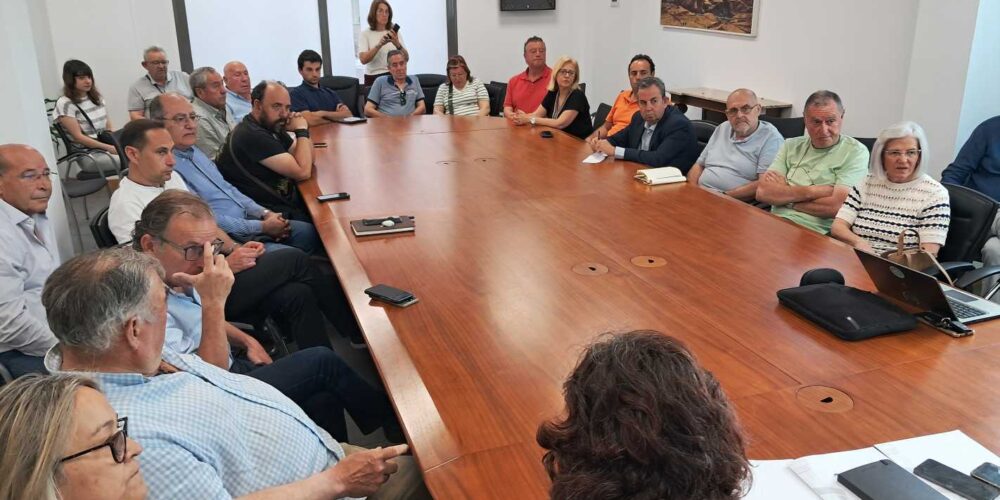Reunión alcaldes con la subdelegada del Gobierno Guadalajara