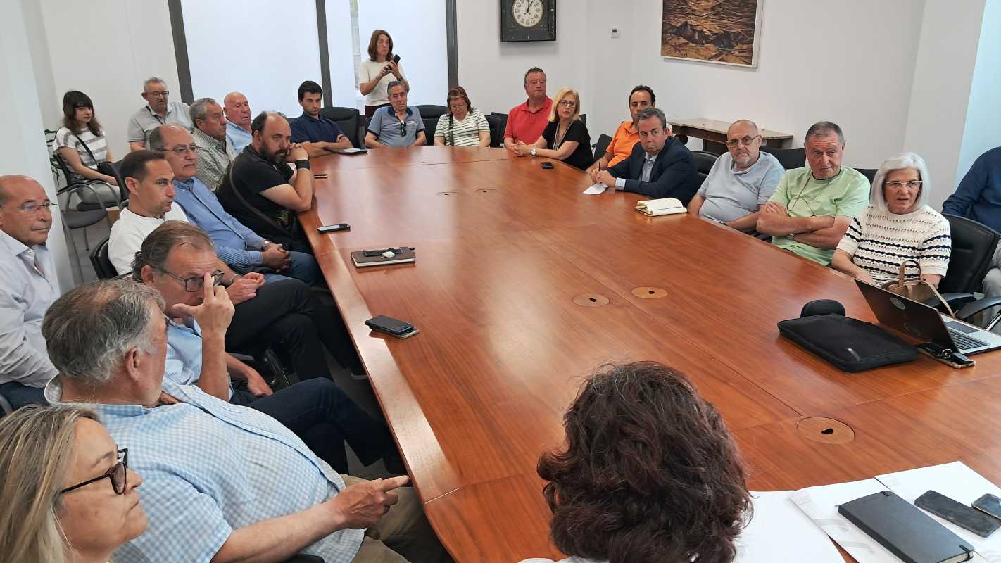 Reunión alcaldes con la subdelegada del Gobierno Guadalajara