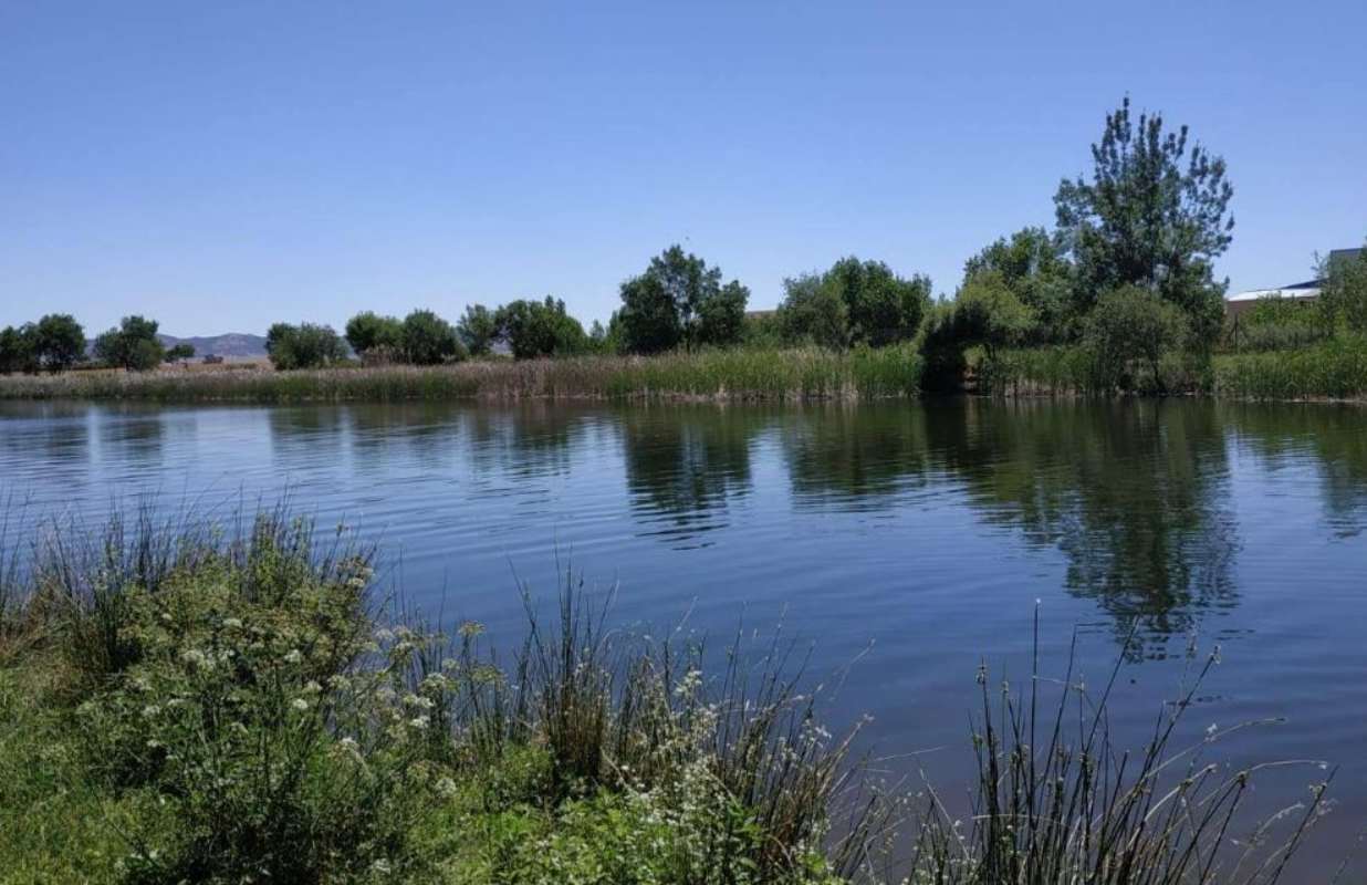 Río Bullaque en Las Casas del Río, donde se ahogó un muchacho. Foto: Google Maps.