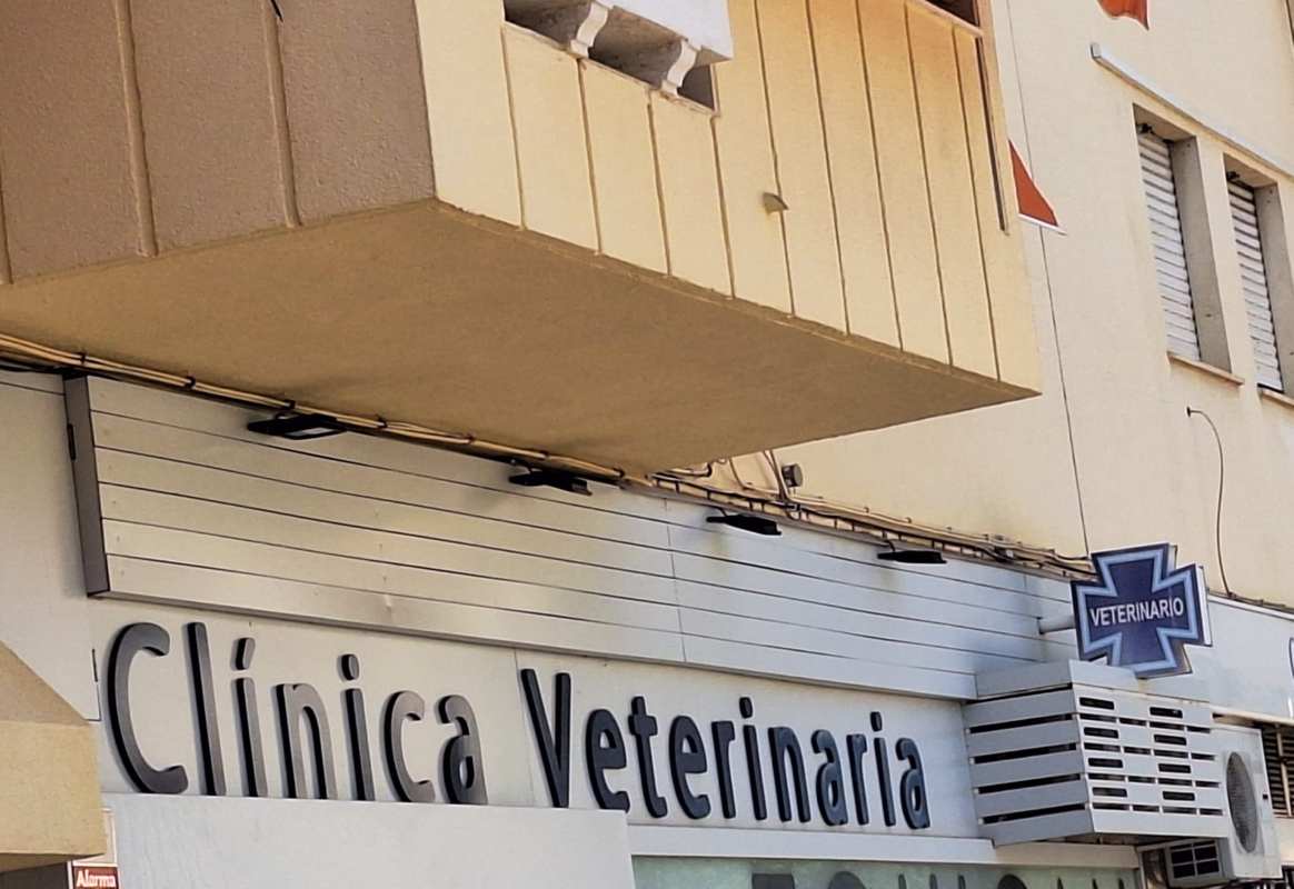 Foto de una clínica veterinaria.