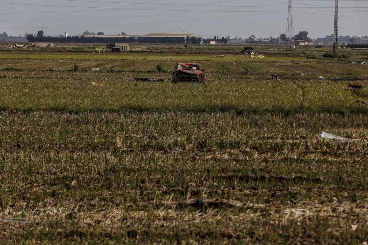 Restos de la DANA en un campo de arrozales en las inmediaciones de la Albufera. Foto: EP.
