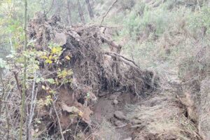 Daños de la dana en Las Chorreras del Cabriel (Cuenca)