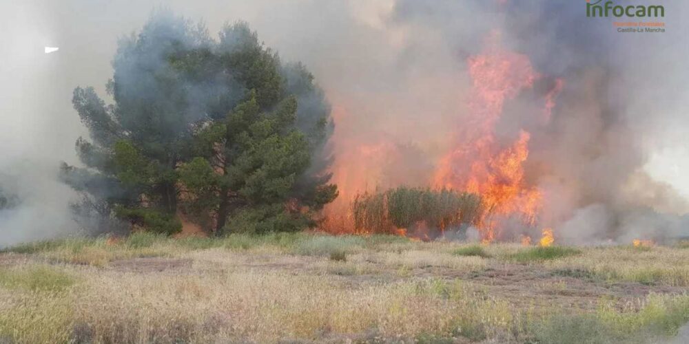 Incendio forestal declarado en La Puebla de Almoradiel. Foto: Infocam.