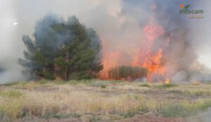 Incendio forestal declarado en La Puebla de Almoradiel. Foto: Infocam.