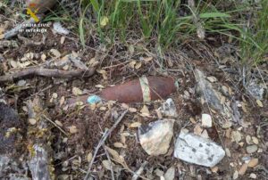 Granada encontrada en Sotodosos