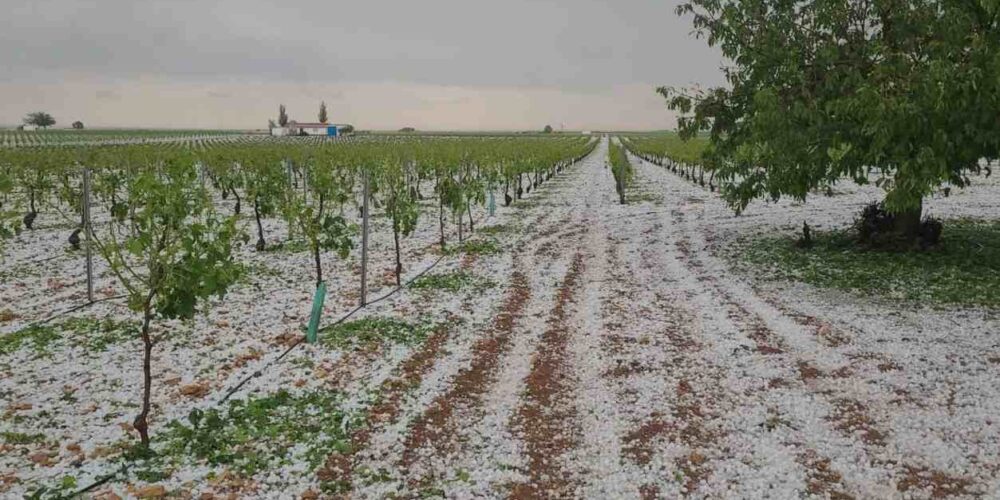 Granizada en Tomelloso. granizo