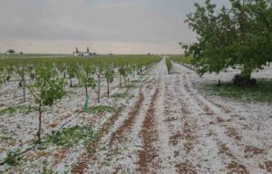 Granizada en Tomelloso. granizo