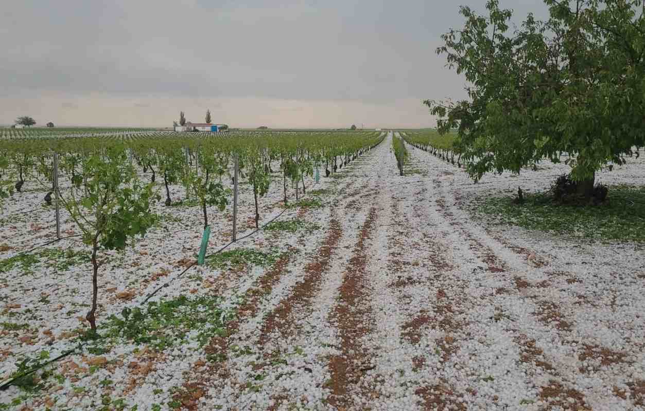 Granizada en Tomelloso. granizo