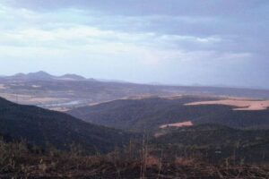 Incendio forestal en Burujón (Toledo). Foto: Infocam