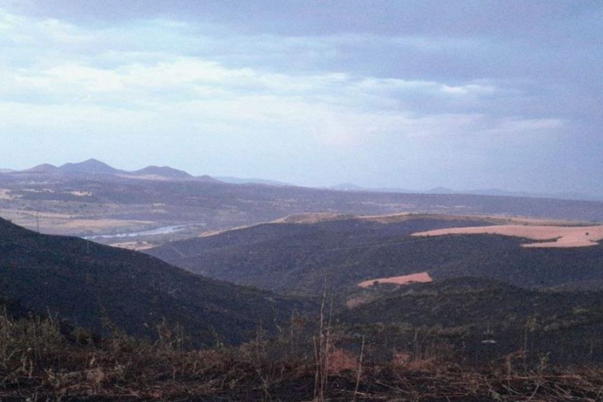 Incendio forestal en Burujón (Toledo). Foto: Infocam