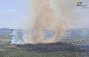 Incendio forestal en Chinchilla de Montearagón.