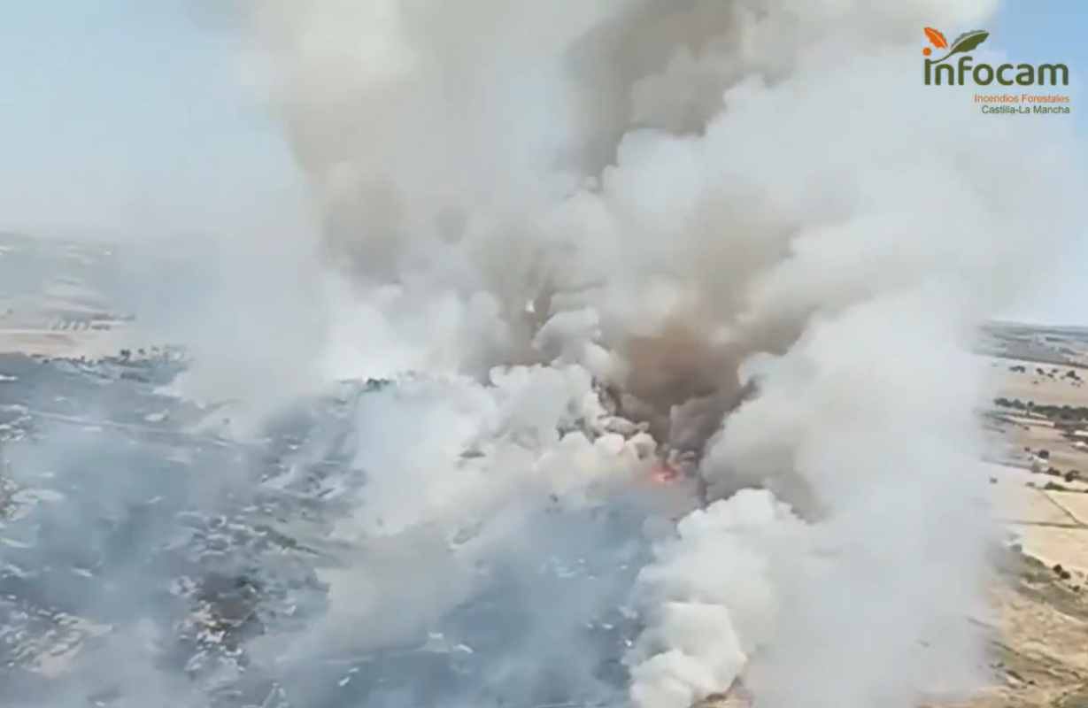 Incendio forestal en Menasalbas (Toledo).