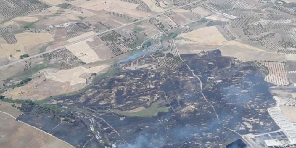 Extinguido el incendio de Menasalbas (Toledo). Foto: Infocam