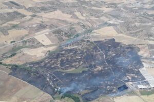 Extinguido el incendio de Menasalbas (Toledo). Foto: Infocam
