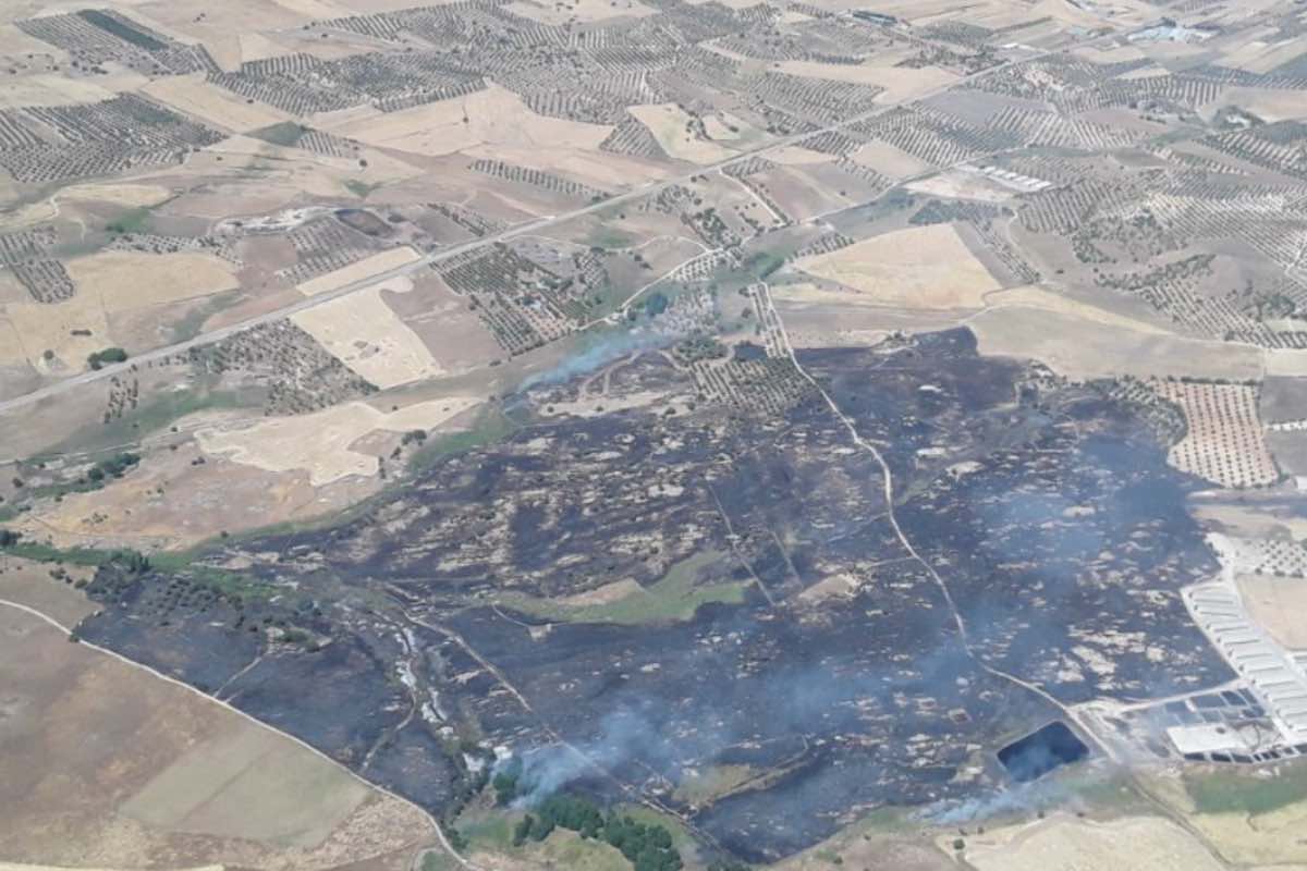 Extinguido el incendio de Menasalbas (Toledo). Foto: Infocam