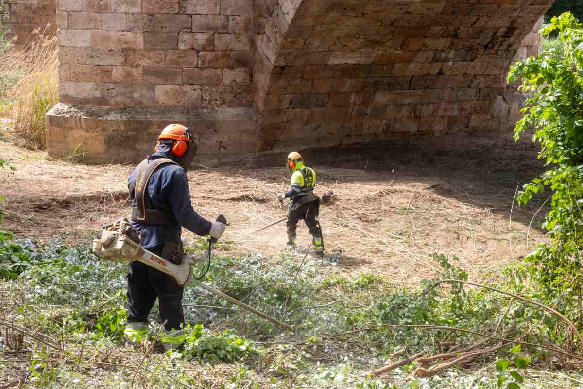 Trabajos limpieza río Henares