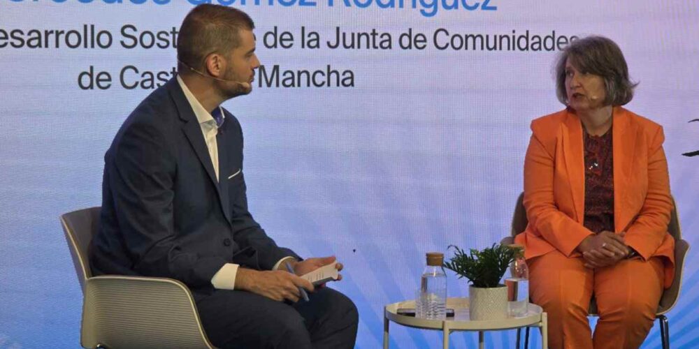 La consejera de Desarrollo Sostenible de Castilla-La Mancha, Mercedes Gómez.