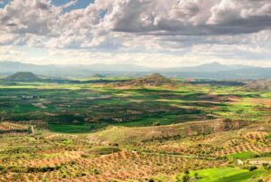 Vista Mirador de la Alcarria Foto: Turismo Castilla-La Mancha