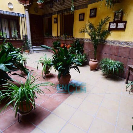Patio de la calle Cristo de la Luz, 12.