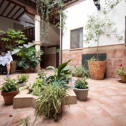 Patio del callejón de San Pedro, 2.
