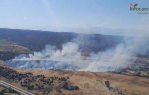 Incendio forestal en Talavera de la Reina.