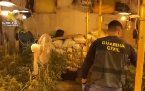 La Guardia Civil desmantela una plantación de marihuana en Chinchilla de Montearagón (Albacete)
