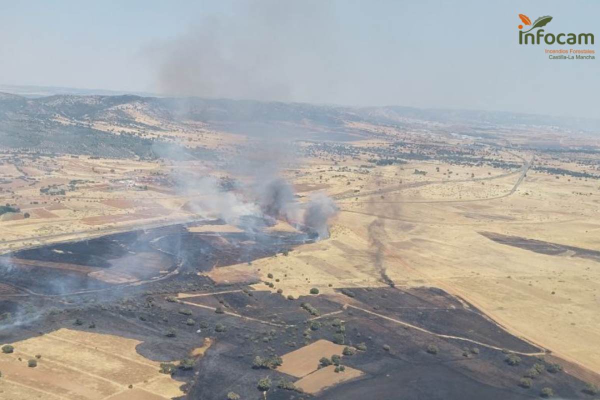 Incendio forestal en Brazatortas