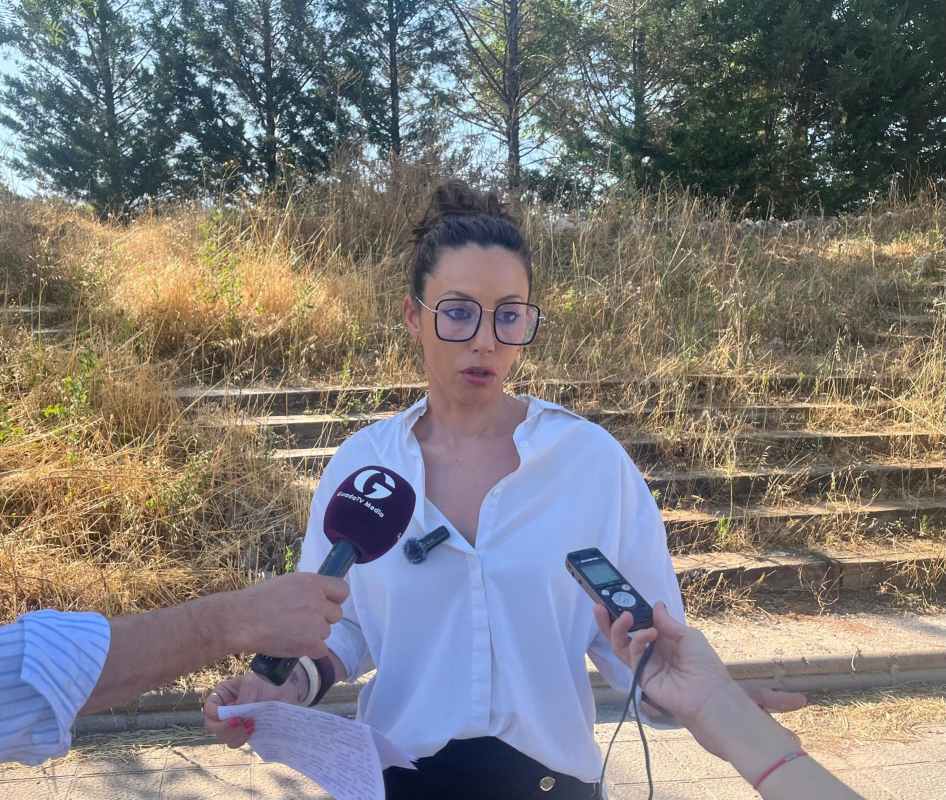 Lucía de Luz, portavoz socialista en el Ayuntamiento