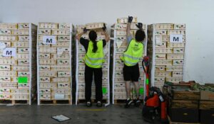 Campaña "Ningún hogar sin alimentos".