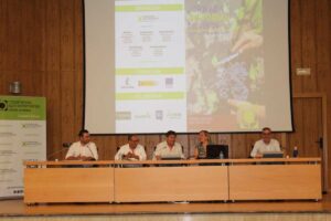 sectorial vino cooperativas CLM