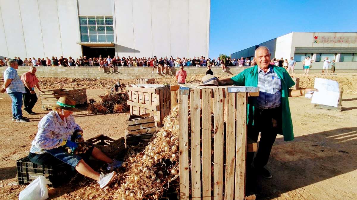 concurso corte de ajo