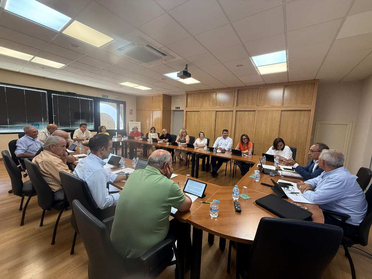 consejo cooperativas CLM
