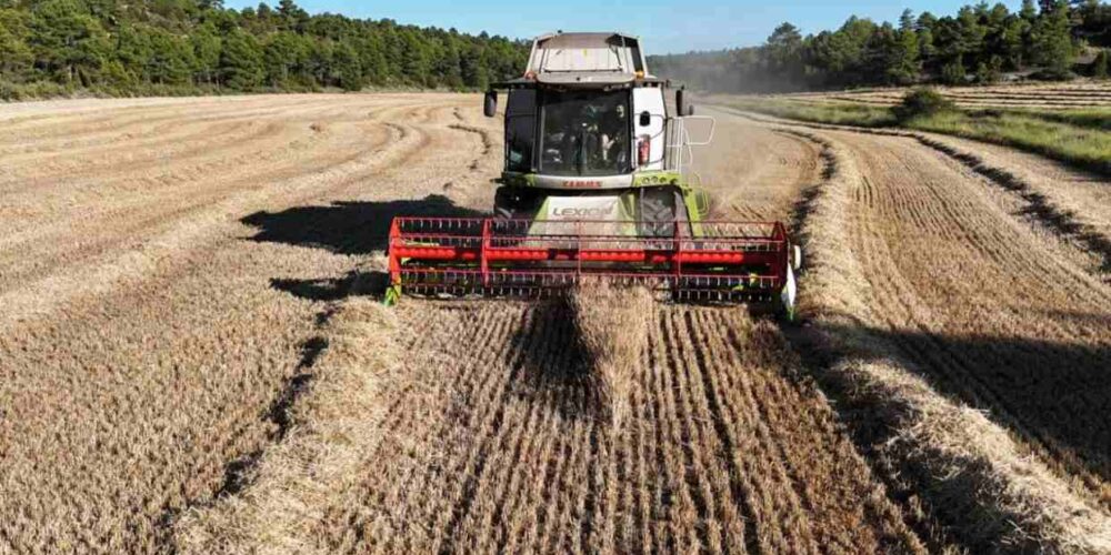 Imagen de una cosechador en el campo.