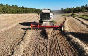 Imagen de un tractor en el campo.