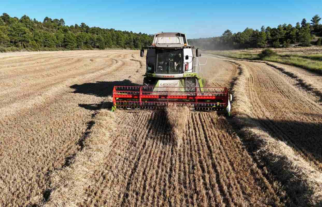Imagen de un tractor en el campo.