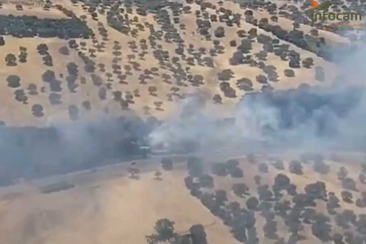 imagen del incendio de Agudo