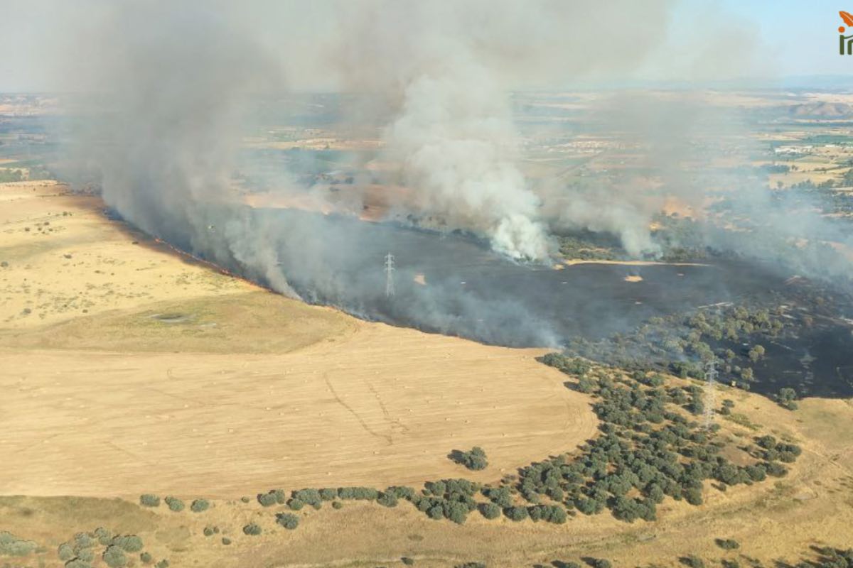 Incendio en Calera y Chozas (Toledo). Foto: Infocam