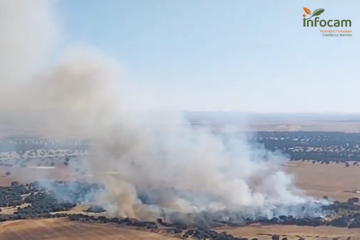 Incendio en Calera y Chozas (Toledo). Foto: Infocam